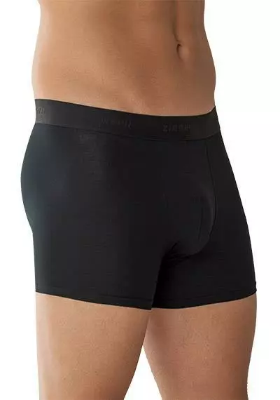 Zimmerli Pureness 700 Pant 700/1343/86 Trunk, Micromodal OEKO-TEX, Schwarz 1 Zimmerli Pureness 700 Pant 700/1343/86 Trunk, Micromodal OEKO-TEX, Schwarz