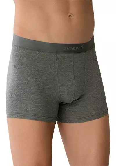 Zimmerli Pureness 700 Pant 700/1343/51 Trunk, Micromodal OEKO-TEX, Grau meliert, Grey melange 1 Zimmerli Pureness 700 Pant 700/1343/51 Trunk, Micromodal OEKO-TEX, Grau meliert, Grey melange