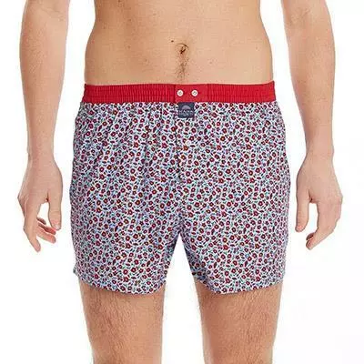 MC ALSON Boxer-Shorts 4443/rot-blau Boxershorts, Baumwolle, Hellblau-rot gemustert 3 MC ALSON Boxer-Shorts 4443/rot-blau Boxershorts, Baumwolle, Hellblau-rot gemustert – Bild 3