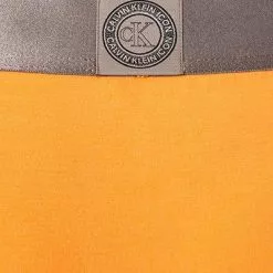 Calvin Klein Underwear Calvin Klein ICON Trunk NB2537A/SF1 Baumwoll-Stretch, Orange -Wäsche Verkaufsshop 376551 norm3