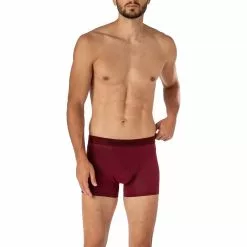 bruno banani Shorts Autumn Colouring 2201-2344/274 Trunk, Mikrofaser-Stretch, Weinrot