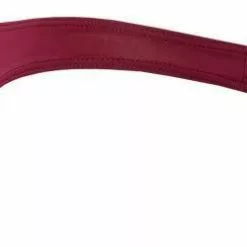 bruno banani String Autumn Colour. 2203-2344/2744 Mikrofaser-Stretch, Barolo , Weinrot -Wäsche Verkaufsshop 381536 norm2